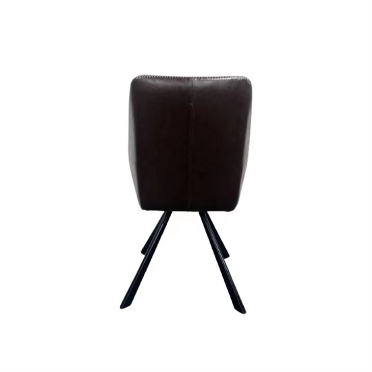 Modern Dining Chairs